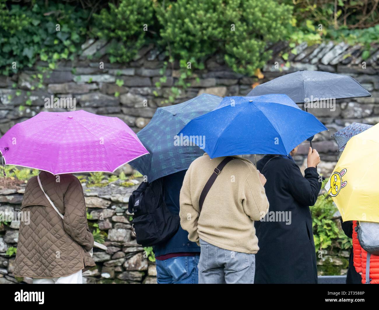 Eine Gruppe asiaten mit Regenschirmen in Ambleside, Lake District, Großbritannien Stockfoto