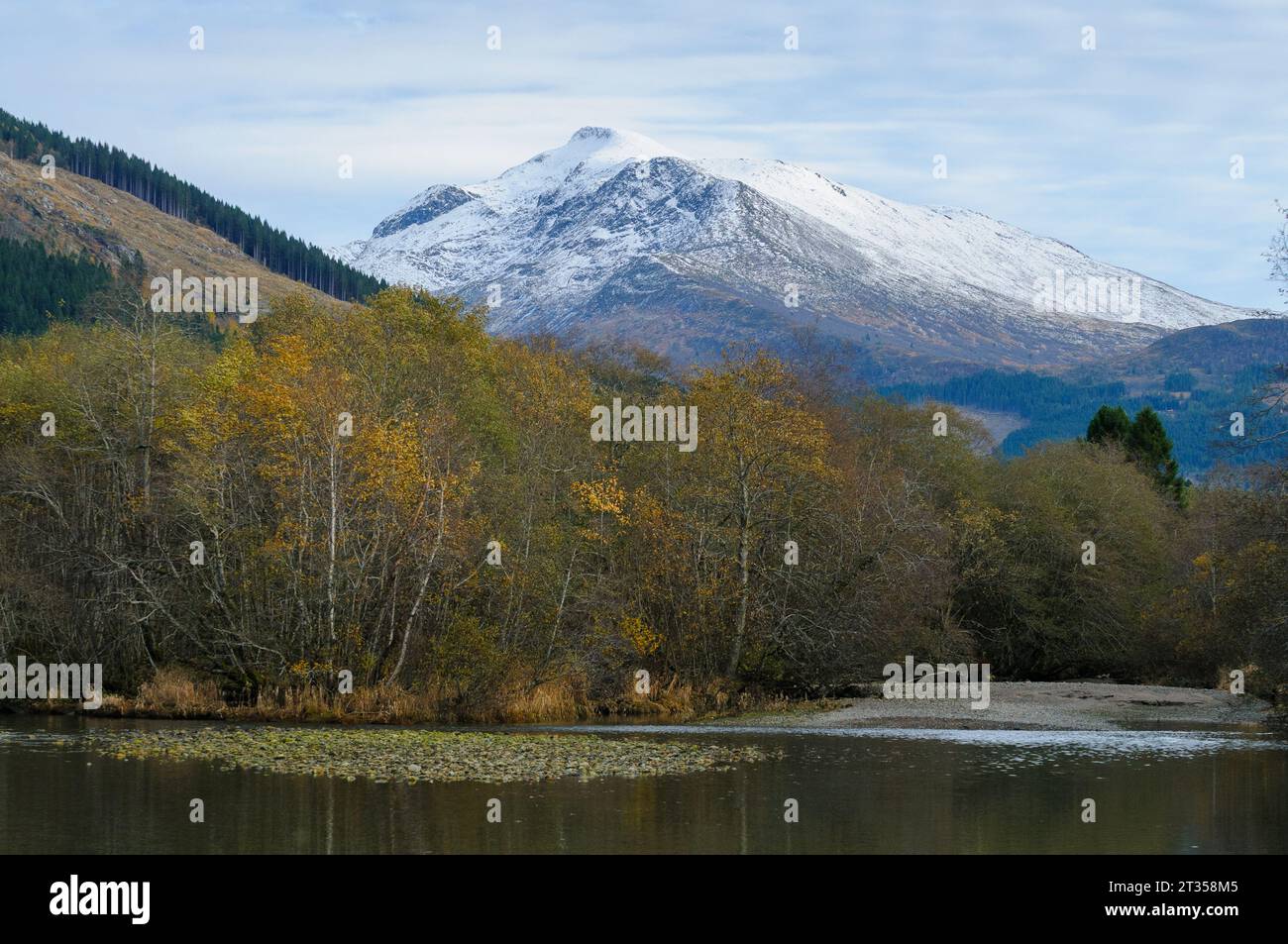Herbstliche Bäume am Fluss und hohe schneebedeckte Berge Stockfoto