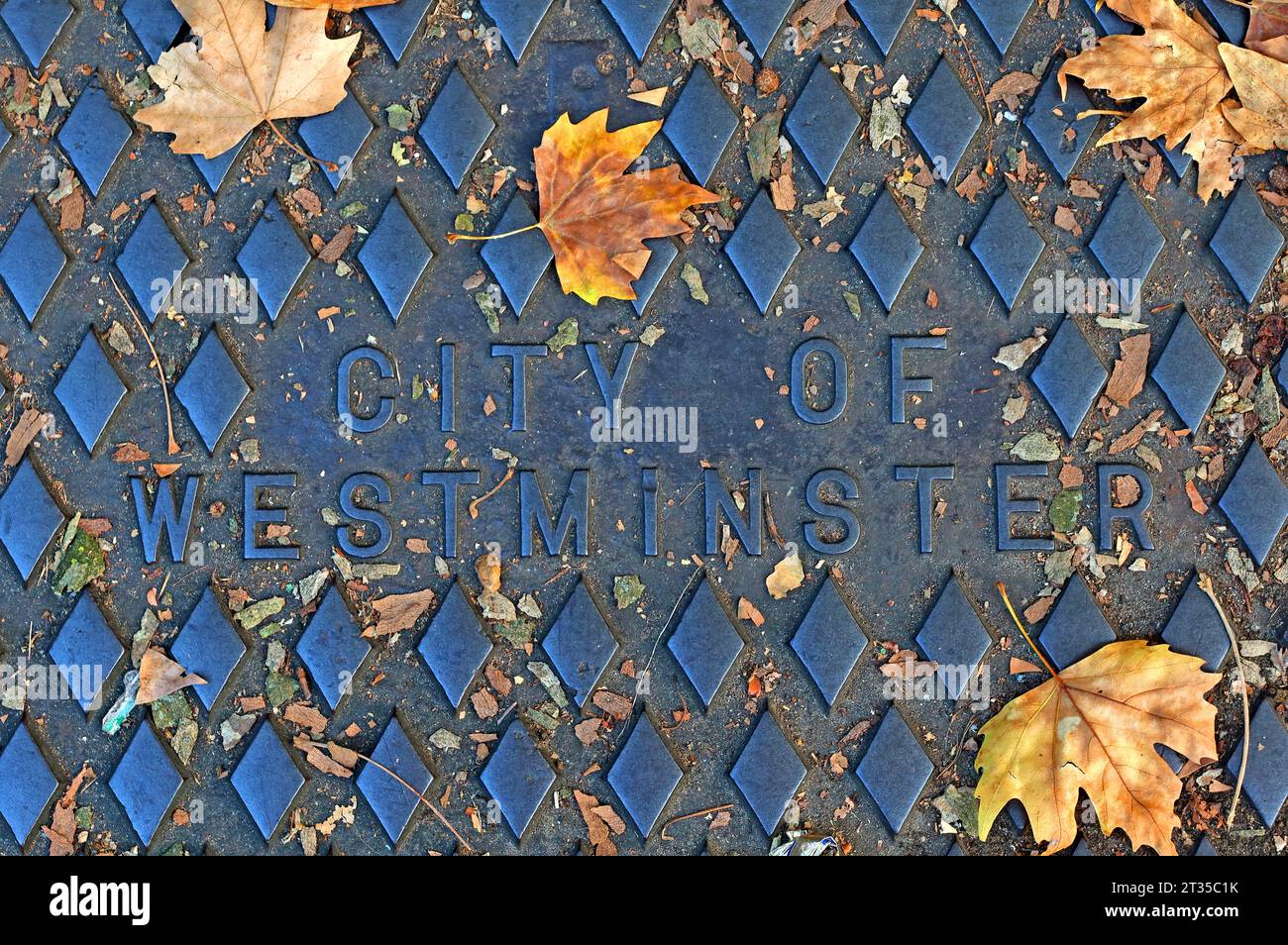 Historisches Gusseisen-geprägtes Gitter mit der Aufschrift City of Westminster, mit Herbstblättern Stockfoto