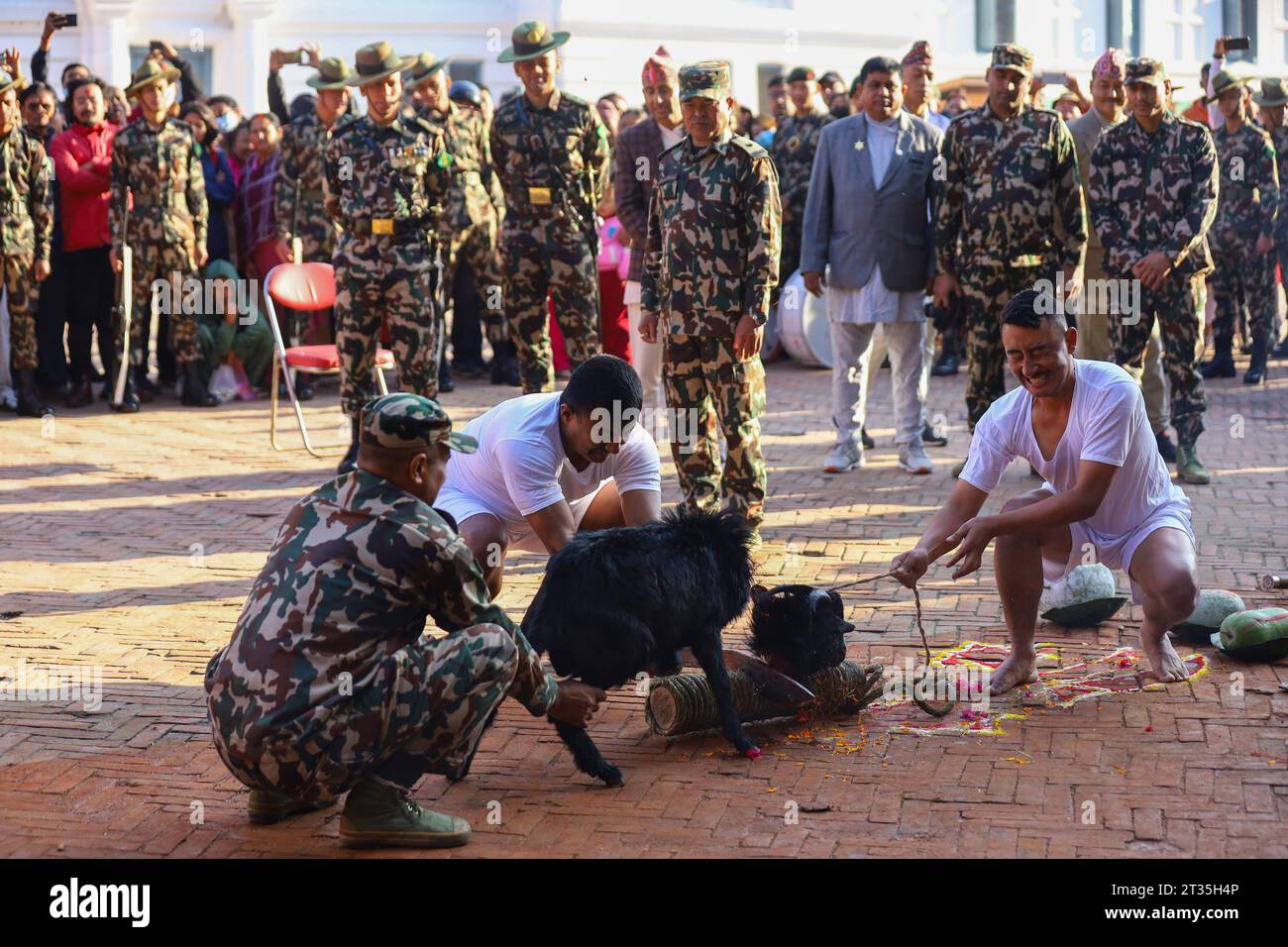 Maha-Nawami-Feier in Nepal GRAFISCHE WARNUNG *** Personnel der Nepal-Armee umrunden einen geopferten HE-Büffel auf dem offenen Platz des Kathmandu-Durbar-Platzes am Tag des Maha-Nawami, dem neunten Tag des vierzehntägigen Dashain-Festivals in Nepal. Auf Maha Nawami werden Ziegen, Enten, Hähne und Büffel in verschiedenen Tempeln geopfert, die den Göttinnen gewidmet sind. Diejenigen, die nicht die Tradition haben, Tiere oder Vögel zu opfern, opfern der Göttin Obst und Gemüse. Kathmandu Bagmati Nepal Copyright: XSubashxShresthax Credit: Imago/Alamy Live News Stockfoto