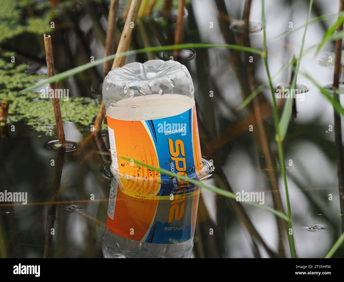 Es gibt einen Mülleimer hinten am Fell, aber die Leute werfen ihre Müll lieber in den See!!! Stockfoto