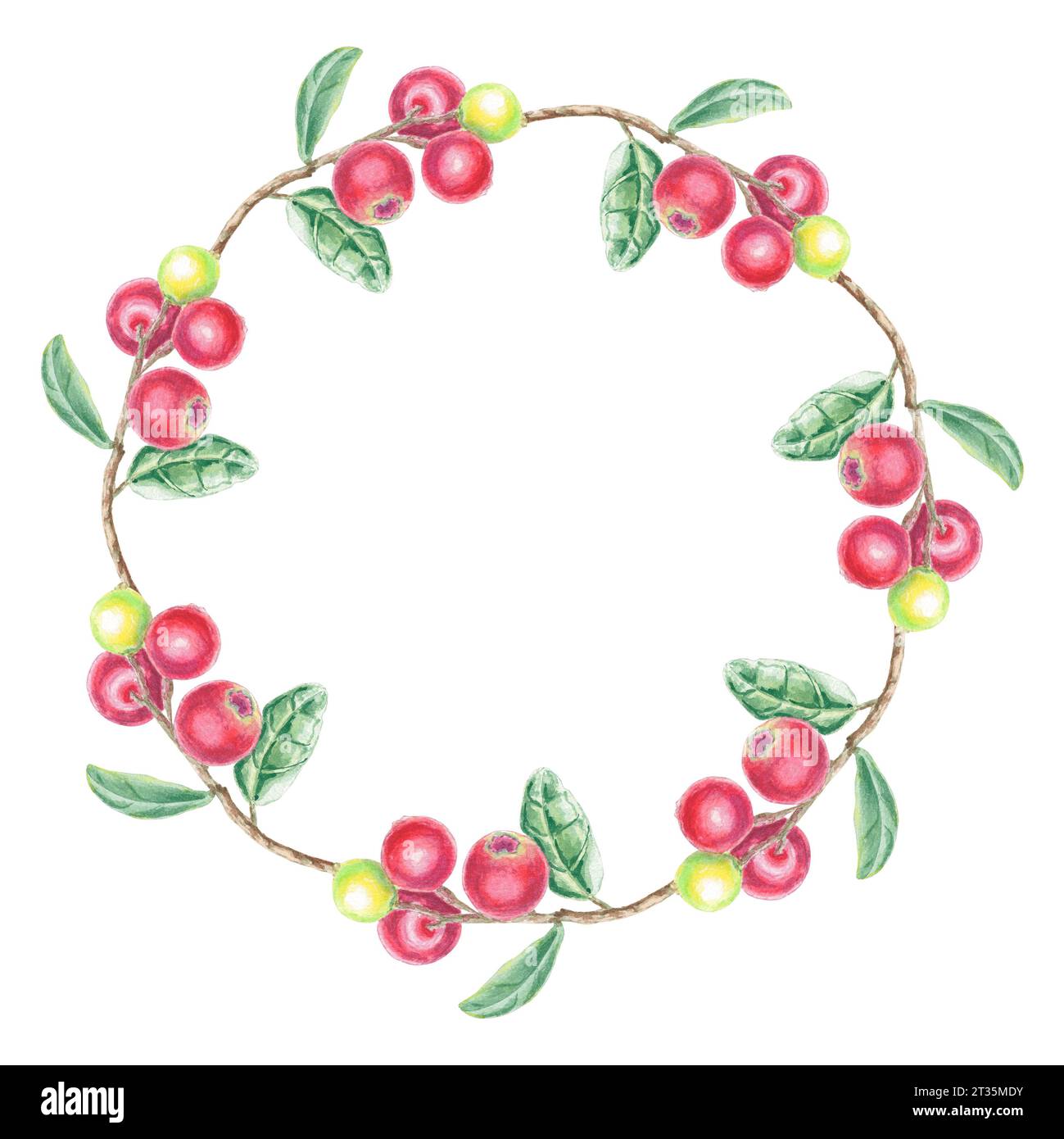 Aquarellkranz Preiselbeere isolierte Illustration auf weißem Hintergrund. Herbstbeere für Logo, Menü, Karte, Muster. Kunst für Design. Gesunde Ernährung Stockfoto