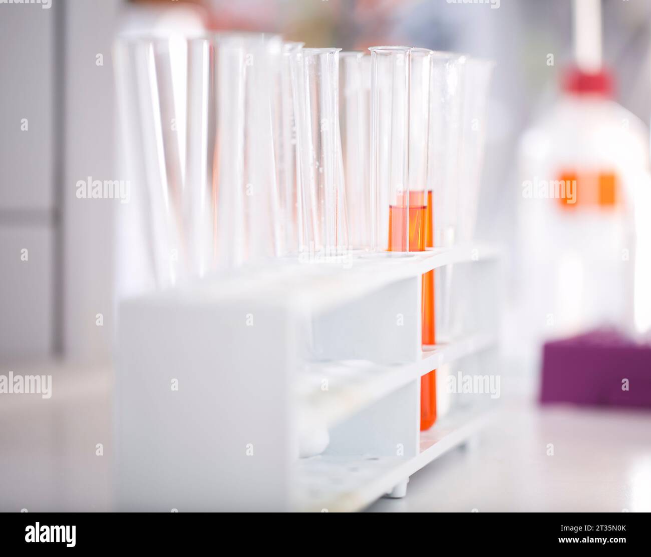Reagenzgläser mit medizinischer Probe im Labor Stockfoto