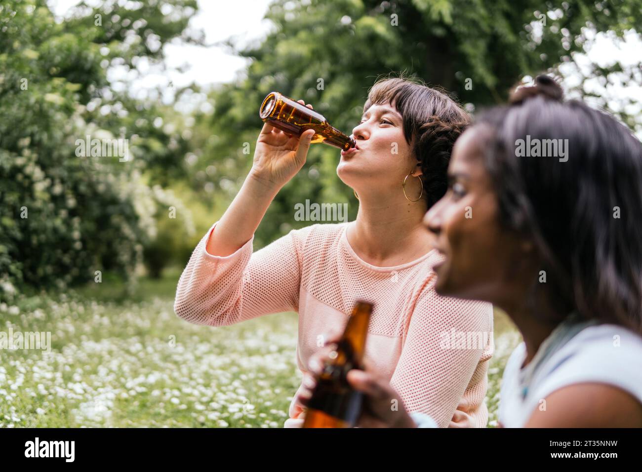 Glückliche Freunde trinken Bier im Park Stockfoto