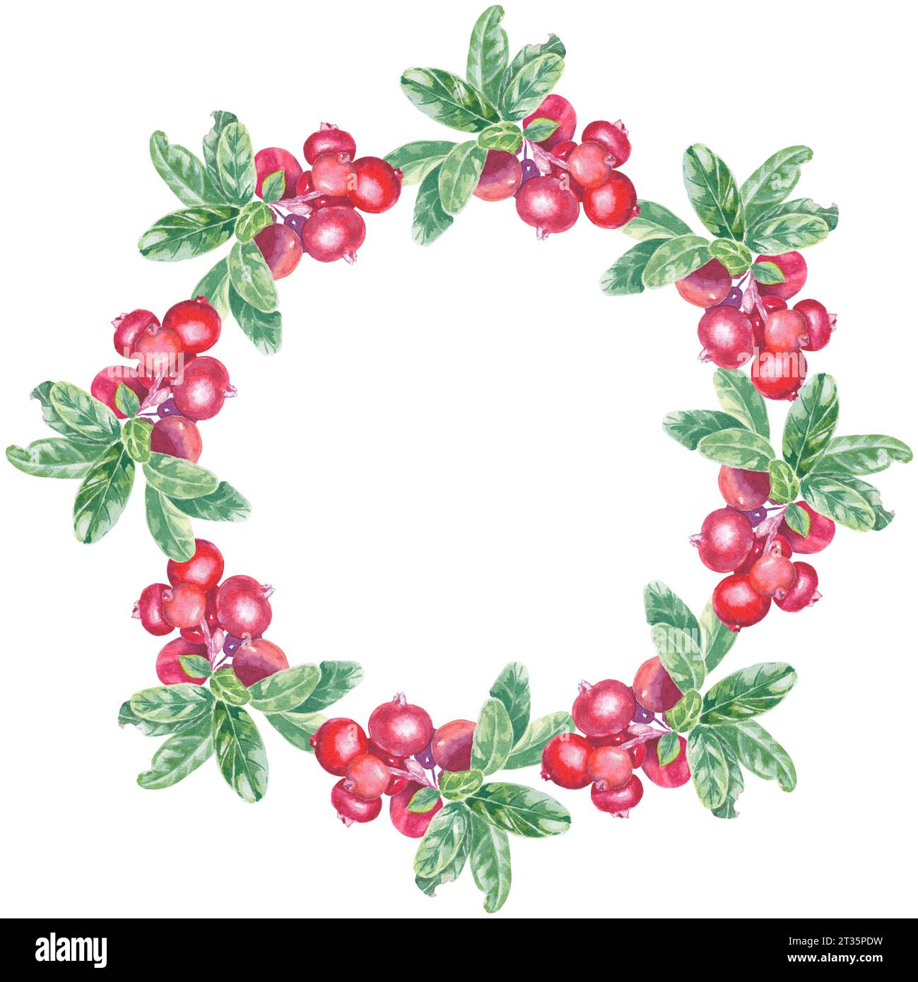 Aquarellkranz Preiselbeere isolierte Illustration auf weißem Hintergrund. Herbstbeere für Logo, Menü, Karte, Muster. Kunst für Design. Gesunde Ernährung Stockfoto