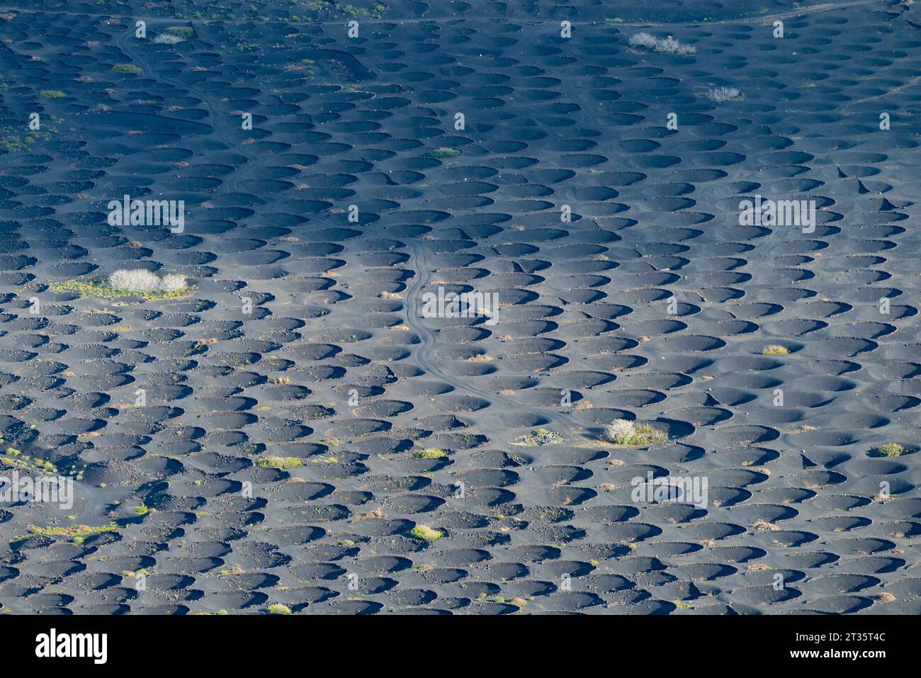 Spanien, Kanarische Inseln, La Geria, Blick auf vulkanische Weinberge auf Lanzarote Stockfoto