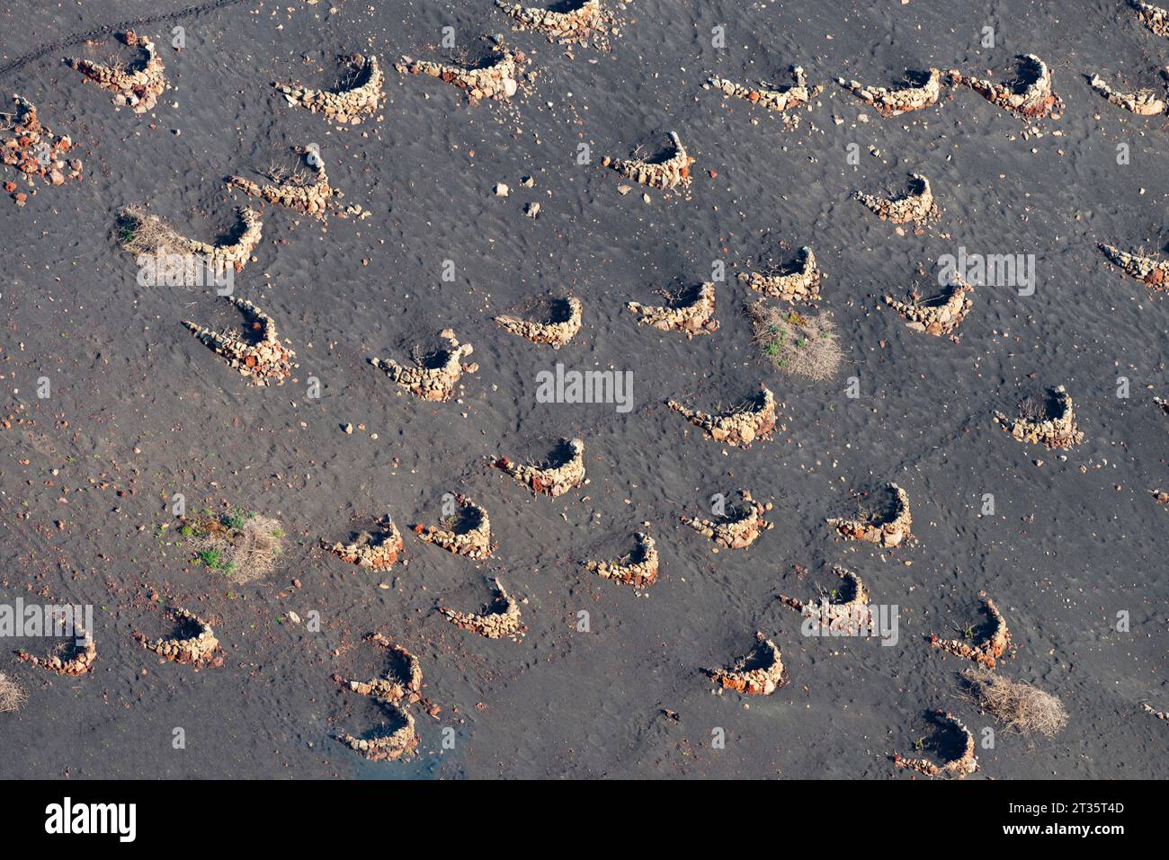 Spanien, Kanarische Inseln, La Geria, Blick auf vulkanische Weinberge auf Lanzarote Stockfoto