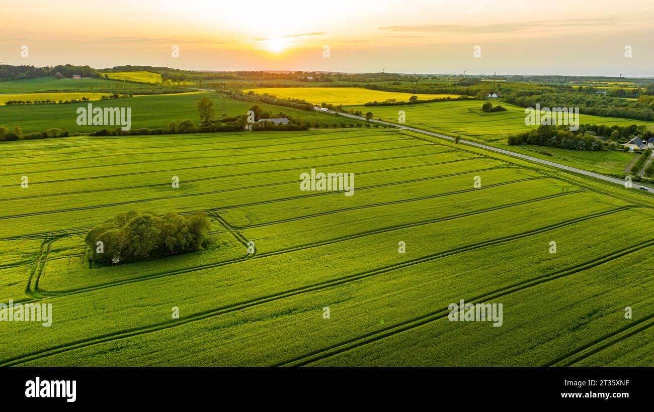 Dänemark, Syddanmark, Christiansfeld, aus der Vogelperspektive grüne Felder bei Sonnenuntergang im Sommer Stockfoto