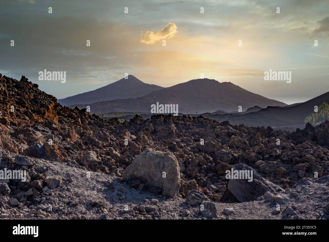 Spanien, Kanarische Inseln, felsige Landschaft des Teide-Nationalparks bei Sonnenuntergang Stockfoto