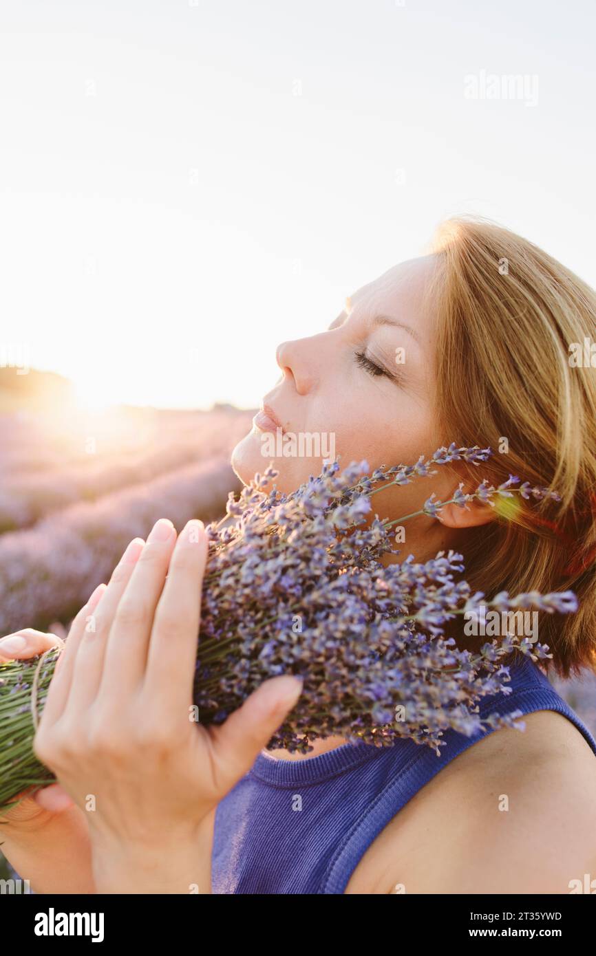 Eine heitere Frau, die einen Haufen Lavendelblumen auf dem Feld hält Stockfoto