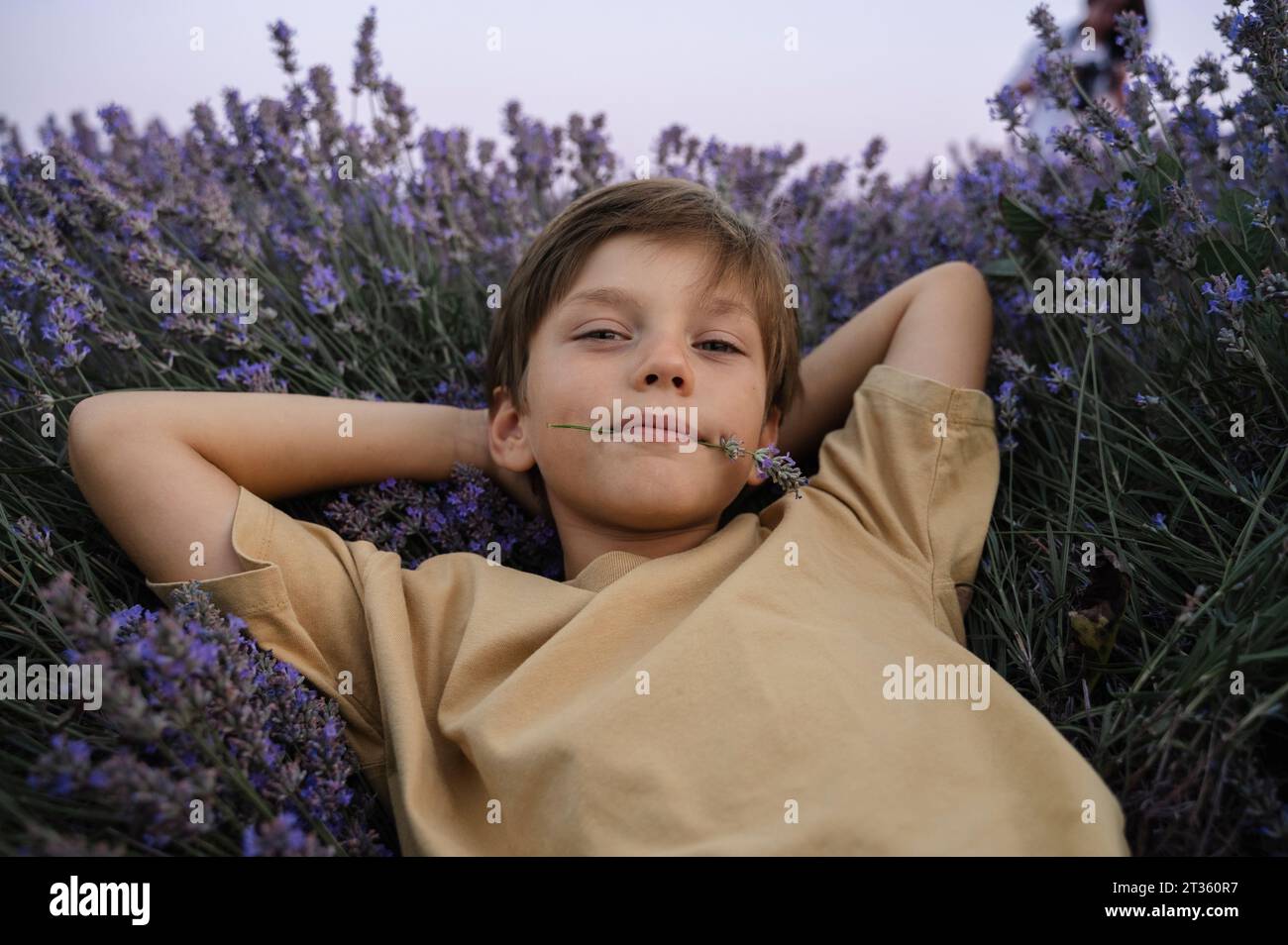 Junge, der Lavendelblume im Mund hält Stockfoto
