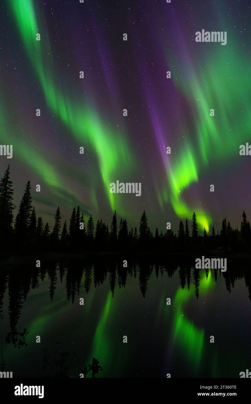 Nordlicht, aurora borealis, reflektiert in einem kleinen See im Wald, im Herbst Gällivare, Schwedisch Lappland, Schweden Stockfoto