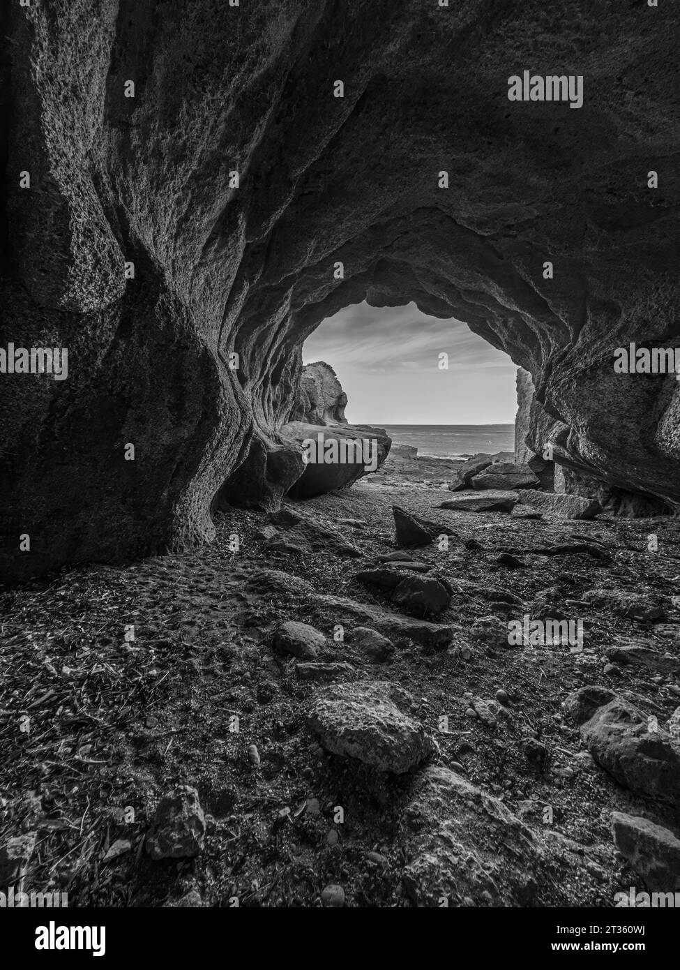 Löwenhöhle an der Küste Stockfoto