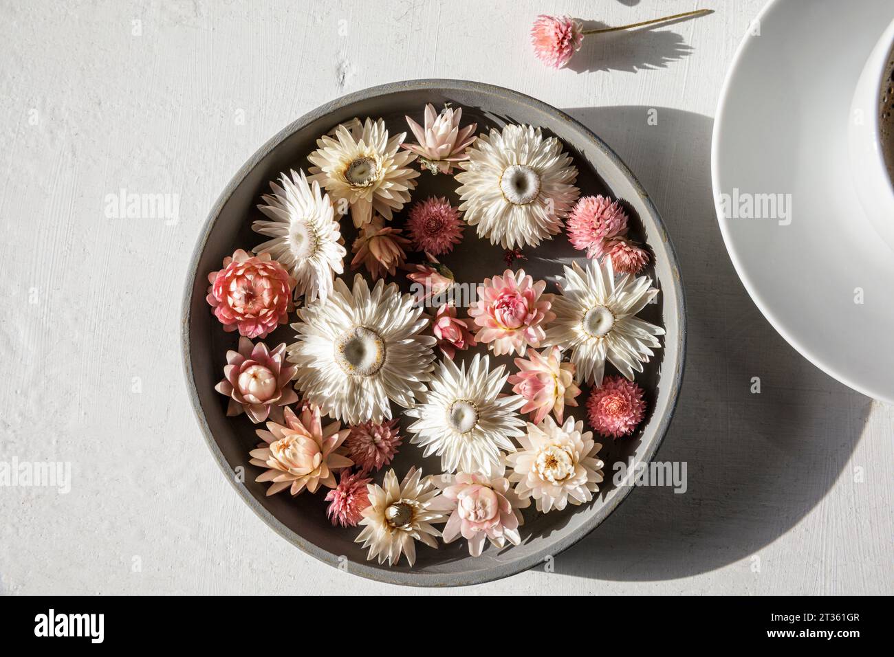 Studio-Aufnahme einer Schüssel mit getrockneten Blumenköpfen Stockfoto