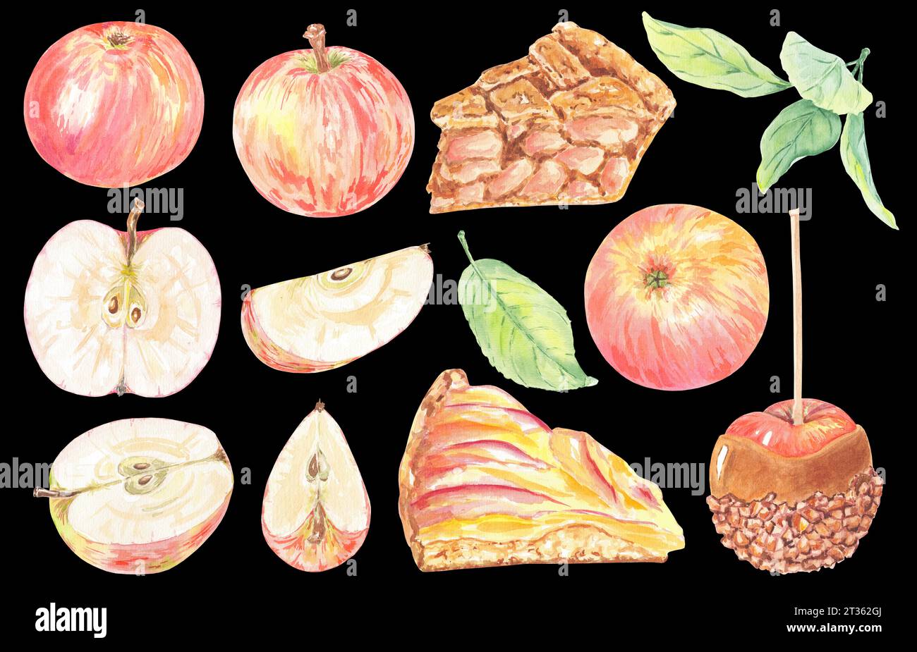 Clipart handgemalte rote Äpfel, grüne Blätter und Karamellnusskuchen. Botanische Illustration mit Aquarell isoliertes Element auf schwarzem Hintergrund. Kunstkost Stockfoto