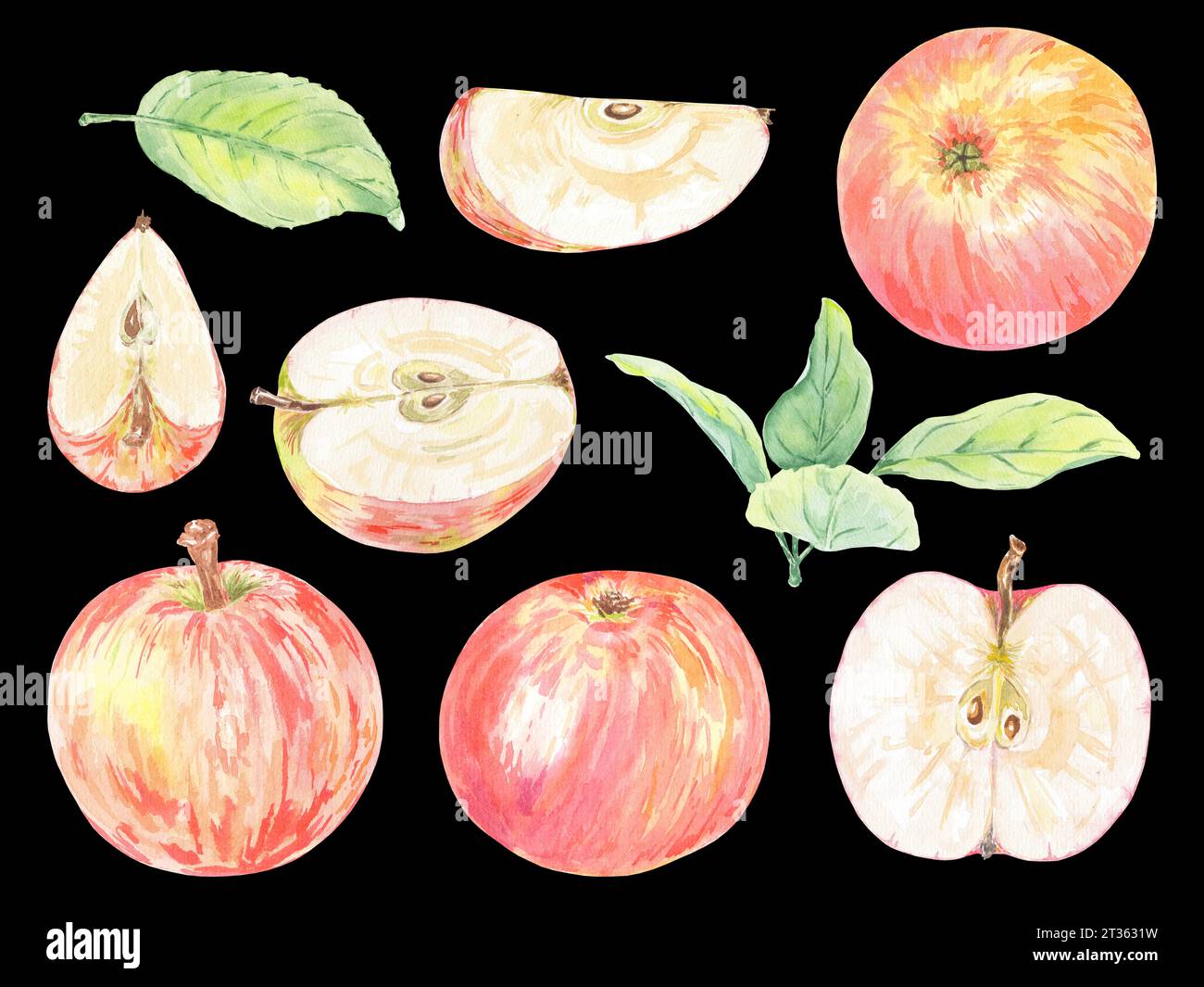 Clipart handgemalte rote Äpfel, grüne Blätter und Karamellnusskuchen. Botanische Illustration mit Aquarell isoliertes Element auf weißem Hintergrund. Kunstkost Stockfoto
