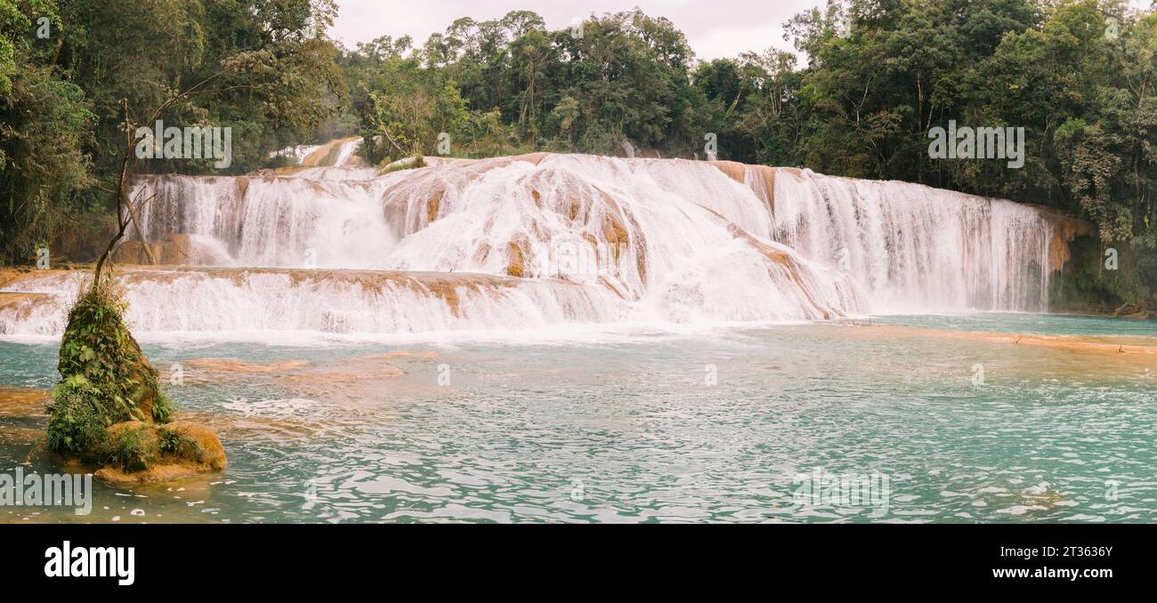 Agua Azul Kaskaden mit Bäumen Stockfoto