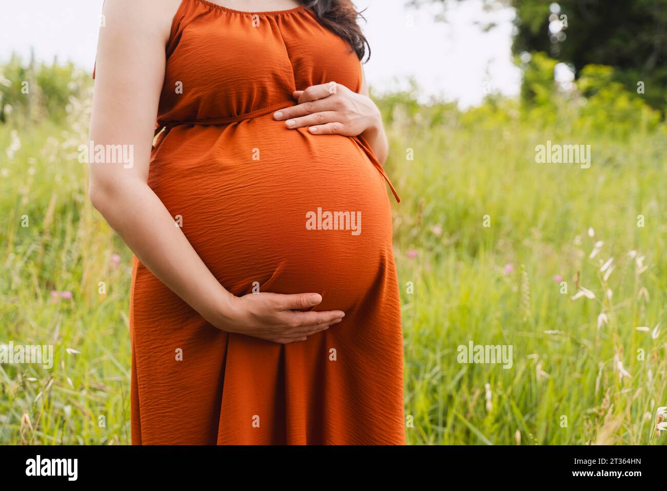 Schwangere Frau mit Händen auf dem Magen im Grasbereich Stockfoto
