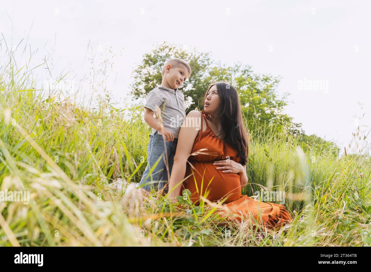 Schwangere Mutter, die den Sohn auf der Wiese ansieht Stockfoto