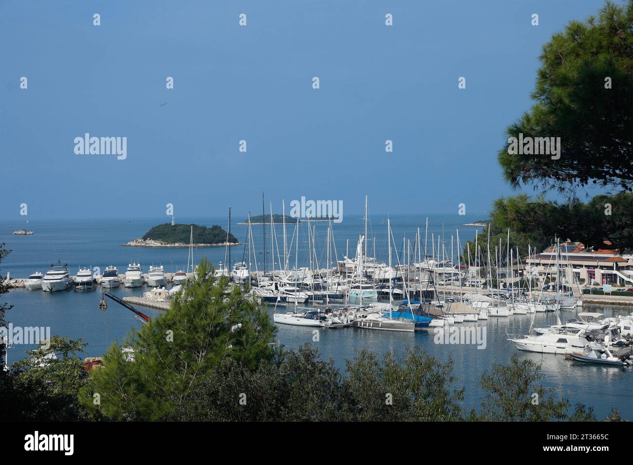 Erhöhter Blick über die Bucht in Richtung des Segelboothafens von Vrsar, Istrien, Kroatien. Stockfoto