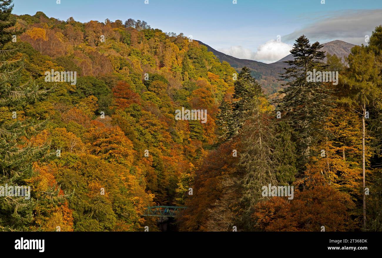 River Garry, Perth und Kinross, Perthshire, Schottland, Großbritannien. 23. Oktober 2023. Verschiedene Herbstfarben von Laub- und Nadelbäumen umgeben den Fluss Garry. Blick in Richtung Garry Bridge und Pass von Killiecrankie. Stockfoto