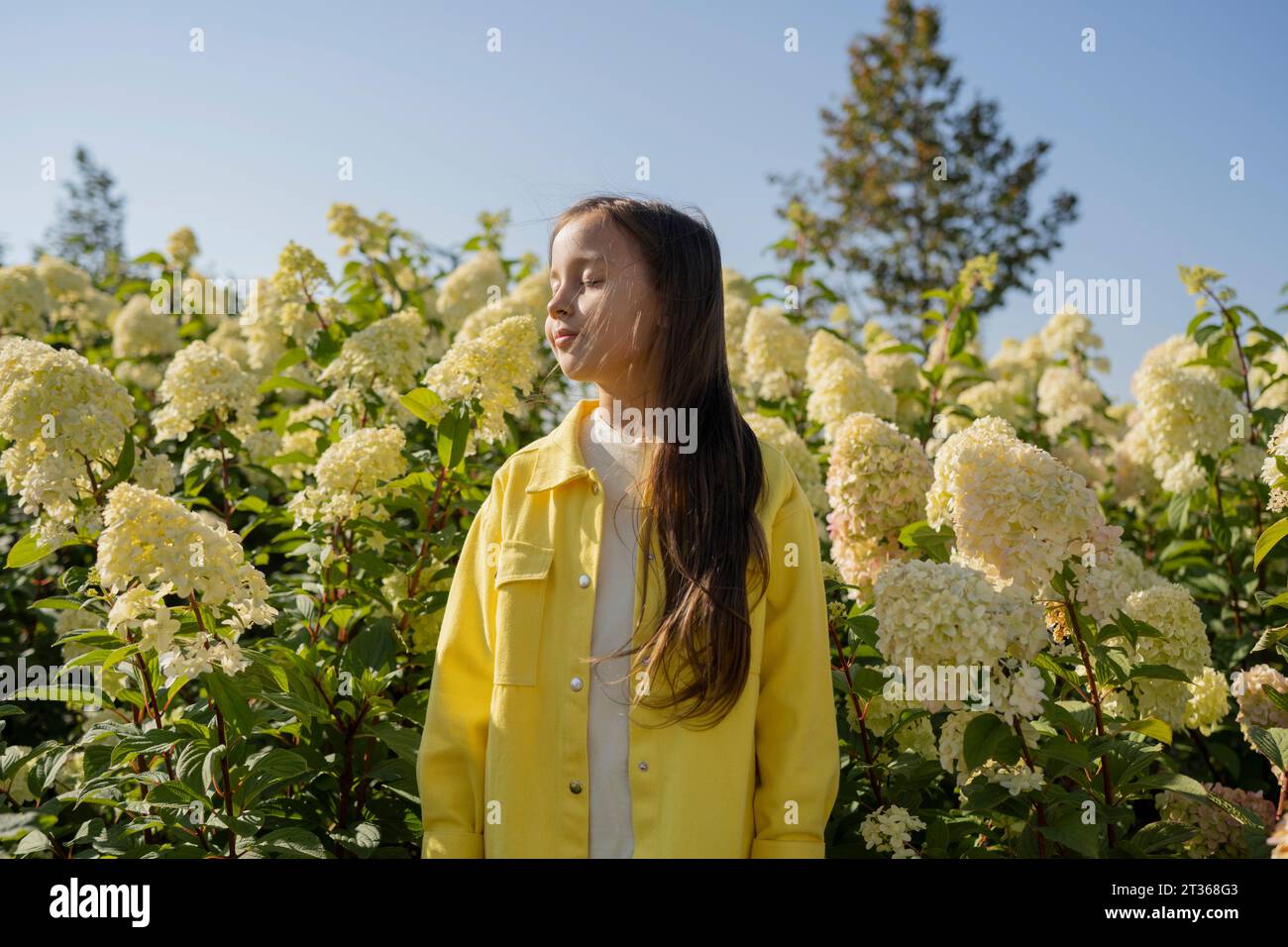 Mädchen mit geschlossenen Augen, das vor Hortensie steht Stockfoto