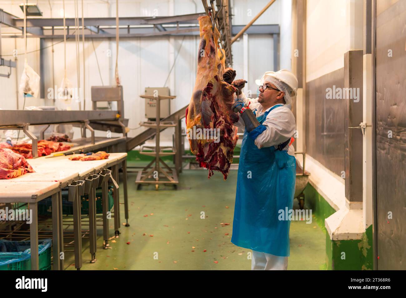 Metzger, der Kuhfleisch im Schlachthof zerlegt Stockfoto