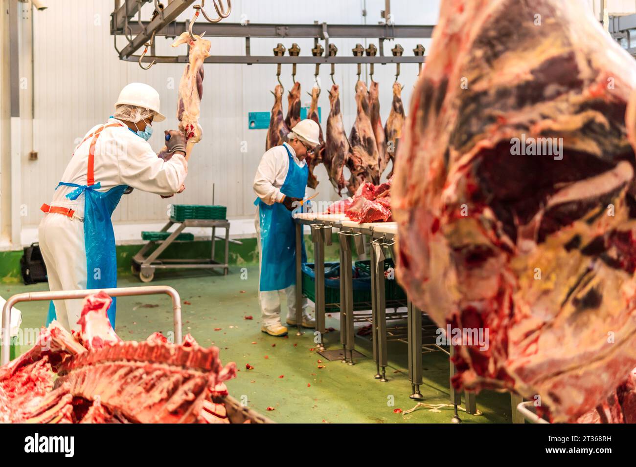 Schlachthöfe, die Kuhfleisch im Kühllager schneiden Stockfoto