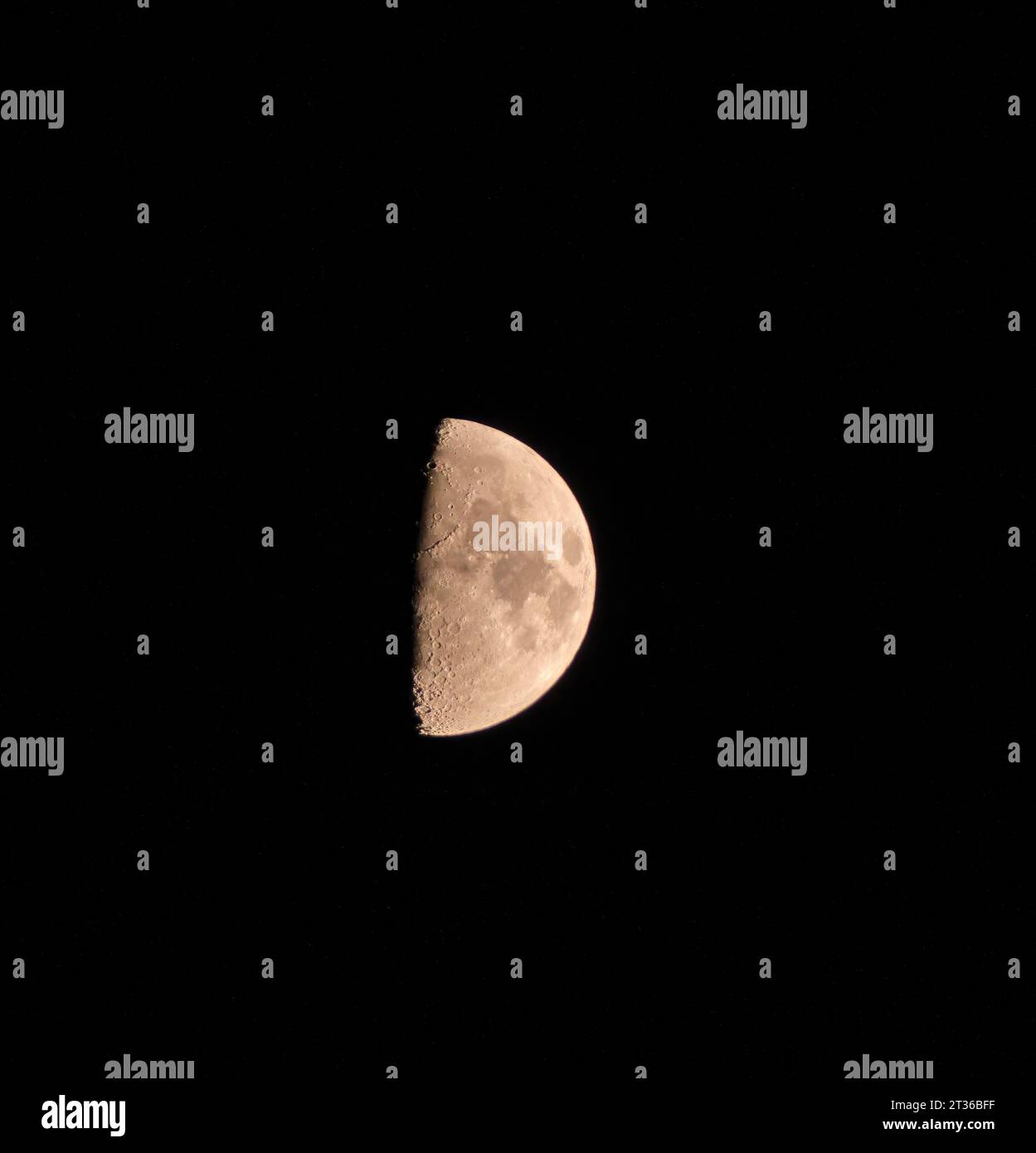 Half Moon gegen einen dunklen Himmel, kurz nach Sonnenuntergang. Von West Molesey aus gesehen, Surrey, England. Stockfoto