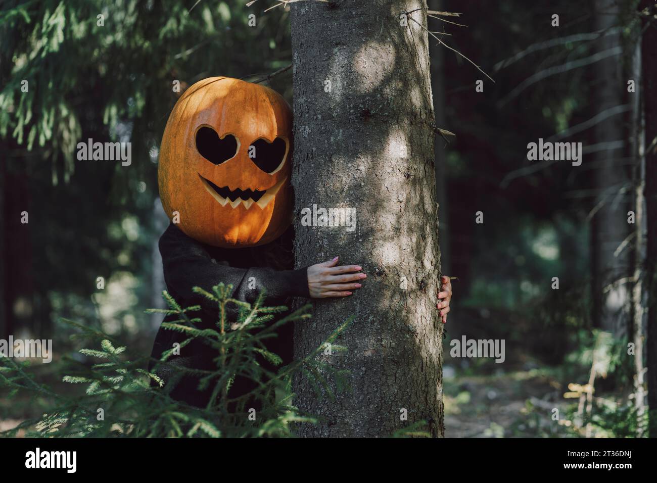 Eine Frau trägt Jack O' Lantern und umarmt einen Baum im Wald Stockfoto