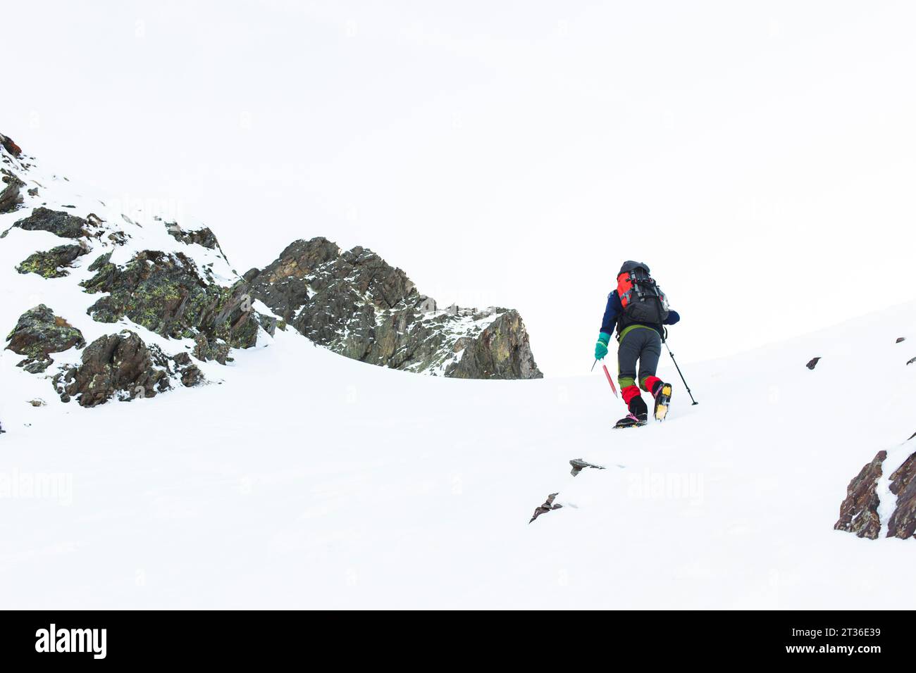 Mann, der im Winter mit einem Stock auf dem Berg läuft Stockfoto