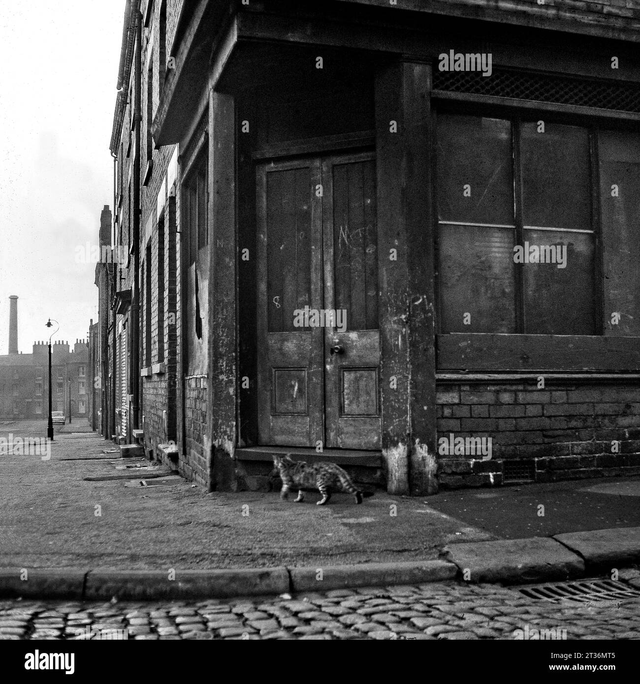 Katze auf der Straße vor einem leeren Eckladen in einer Straße mit Häusern, die während der Slumräumung von St. Ann's, Nottingham, auf den Abriss warten. 1969-1972 Stockfoto