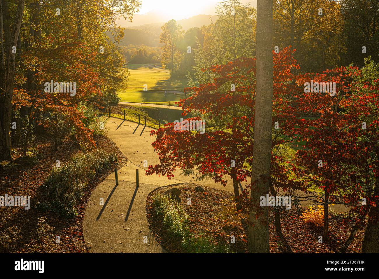 Golfer genießen den Sonnenuntergang auf den Links an einem wunderschönen Herbsttag auf dem Brasstown Valley Resort Golf Course in Young Harris, Georgia. (USA) Stockfoto