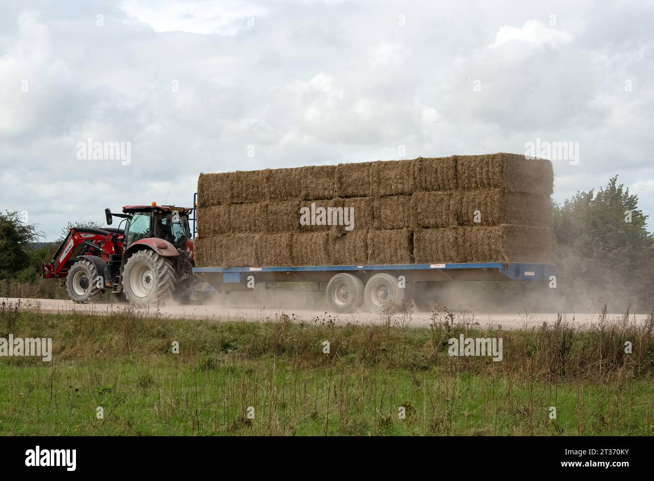 Red Case Puma 340 Traktor zieht einen Anhänger voll beladen mit Ballen Stockfoto