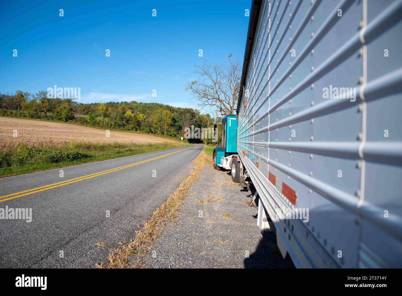 Lange Seitenansicht eines großen landwirtschaftlichen Trucks, der auf einer sonnigen ländlichen Asphaltstraße bei einem Sojabohnenfeld mit Waldgrund geparkt ist. Stockfoto