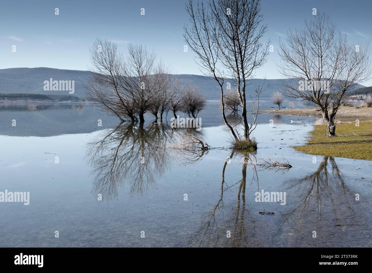 Bäume und ihre Reflexion am Ufer eines überfluteten Sees. Stockfoto