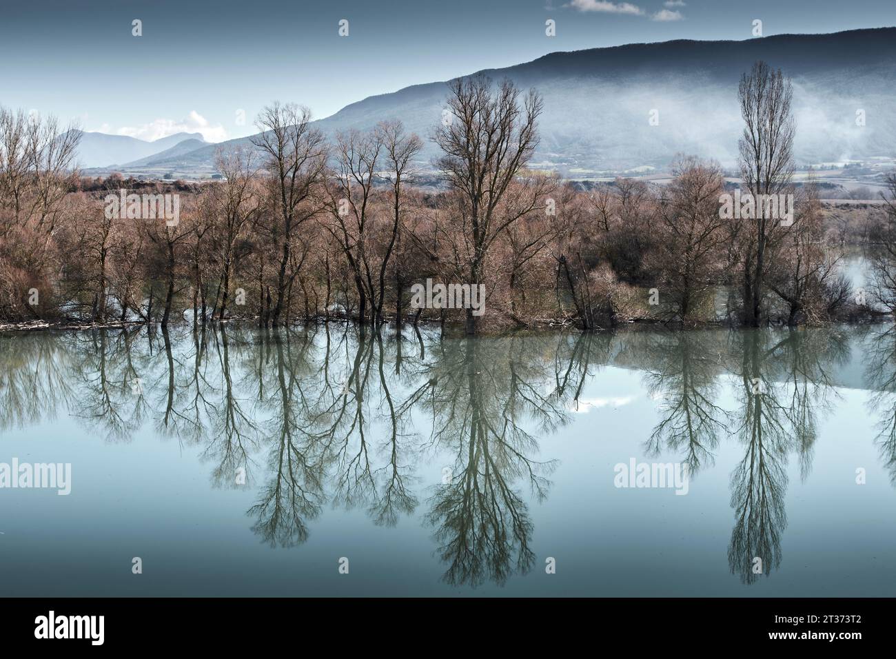 Bäume und ihre Reflexion am Ufer eines überfluteten Sees. Stockfoto
