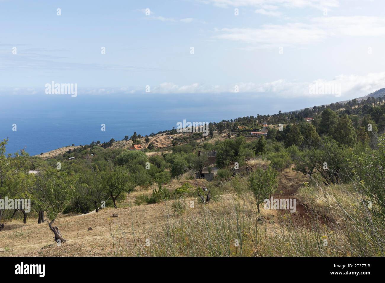 Nordwestküste der Insel La Palma, Las Tricias, Spanien Stockfoto