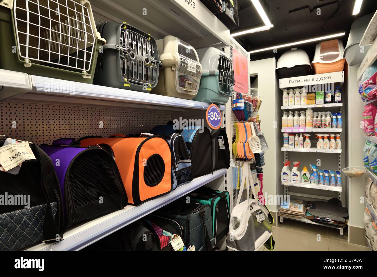 Moskau, Russland - 18. Oktober. 2023. Träger für kleine Haustiere im vier-Pfoten-Tiergeschäft in Zelenograd Stockfoto