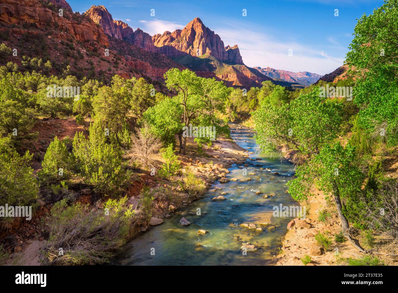 Zion-Nationalpark, Mountain View, USA Stockfoto