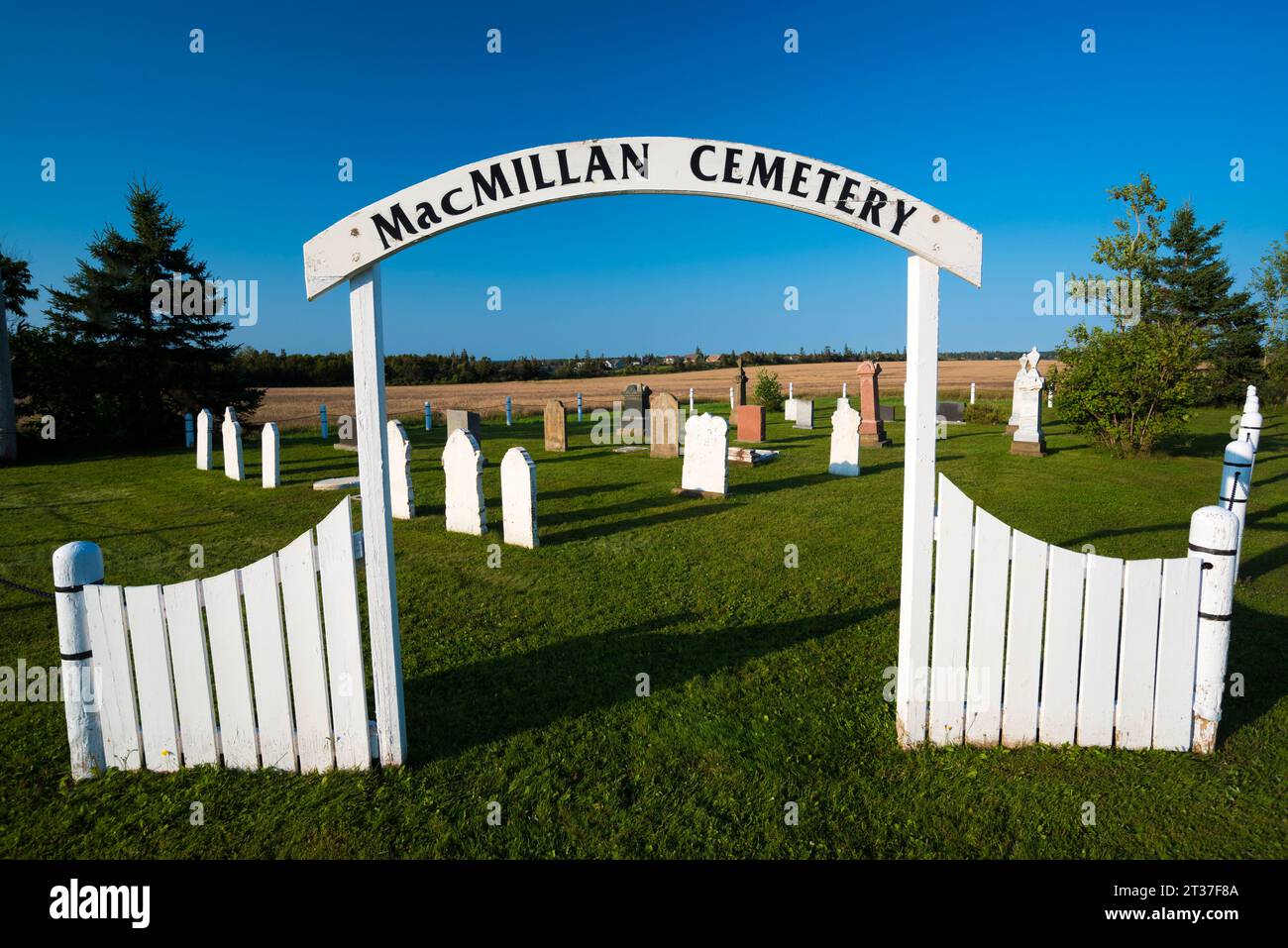 Macmillan Friedhof, West Covehead, Prince Edward Island, Kanada Stockfoto
