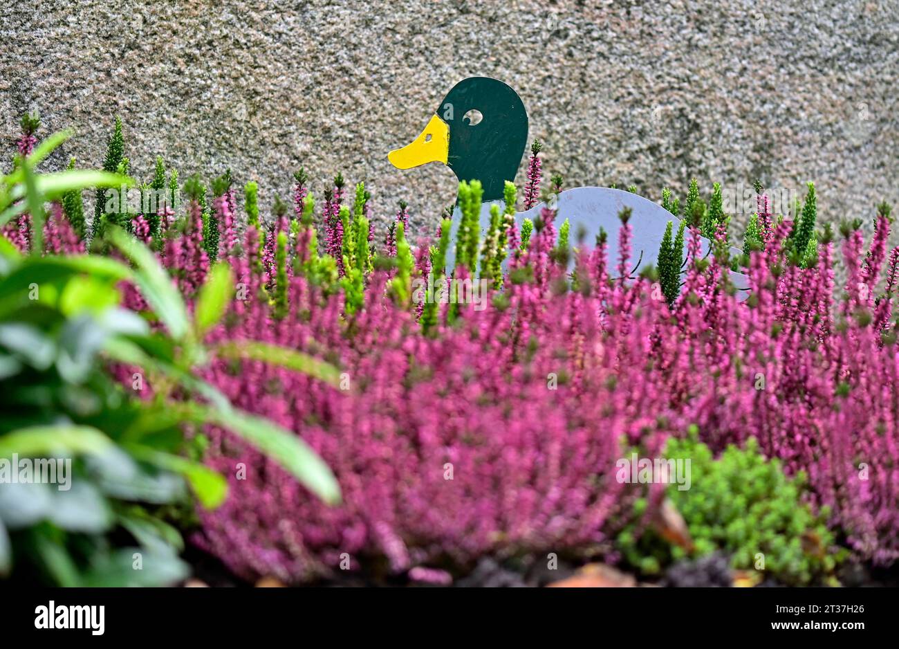 Friedhof, Trauer, Grabschmuck, Grabgestecke, Gedenken an die Toten