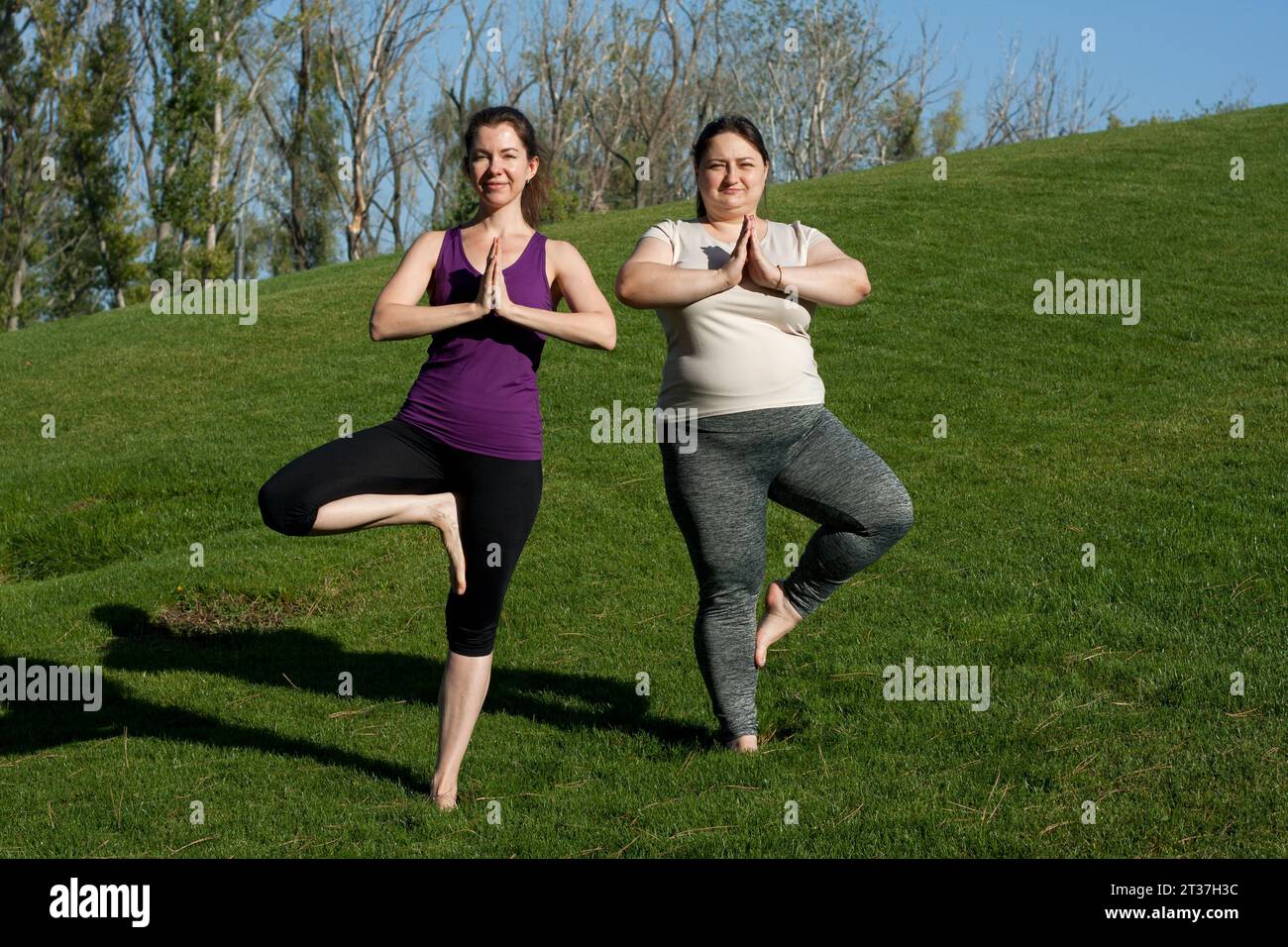 Zwei Frauen mittleren Alters üben Yoga im Stadtpark, Baumhaltung und stehen barfuß auf Gras. Namaste. Gesunder Lebensstil, Fitness, Pilates, Gewichtsverlust. Ov Stockfoto