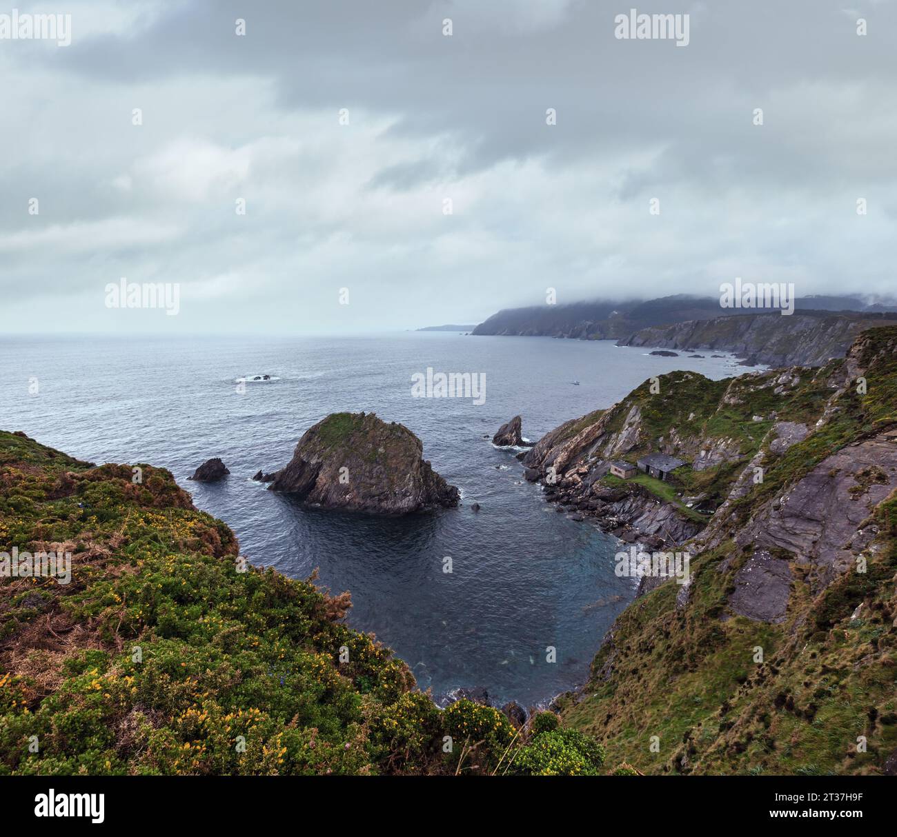 Am Abend Costa de Loiba Landschaft mit blühenden Sträuchern und Felsformationen in Küstennähe (Asturien, Spanien). Stockfoto