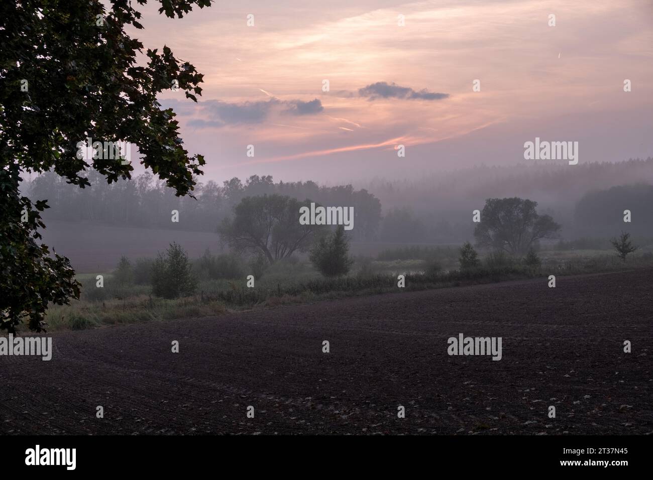 nebliger Sonnenuntergang, gepflügtes Feld, Sonnenuntergang über dem gepflügten Feld, romantische traumhafte Landschaft Stockfoto
