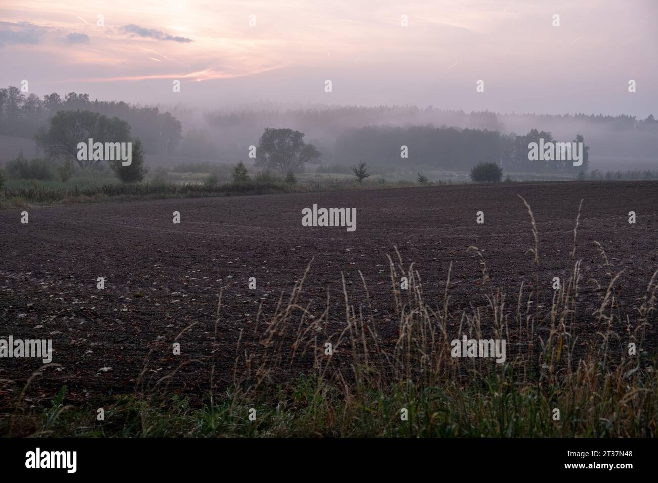 nebliger Sonnenuntergang, gepflügtes Feld, Sonnenuntergang über dem gepflügten Feld, romantische traumhafte Landschaft Stockfoto