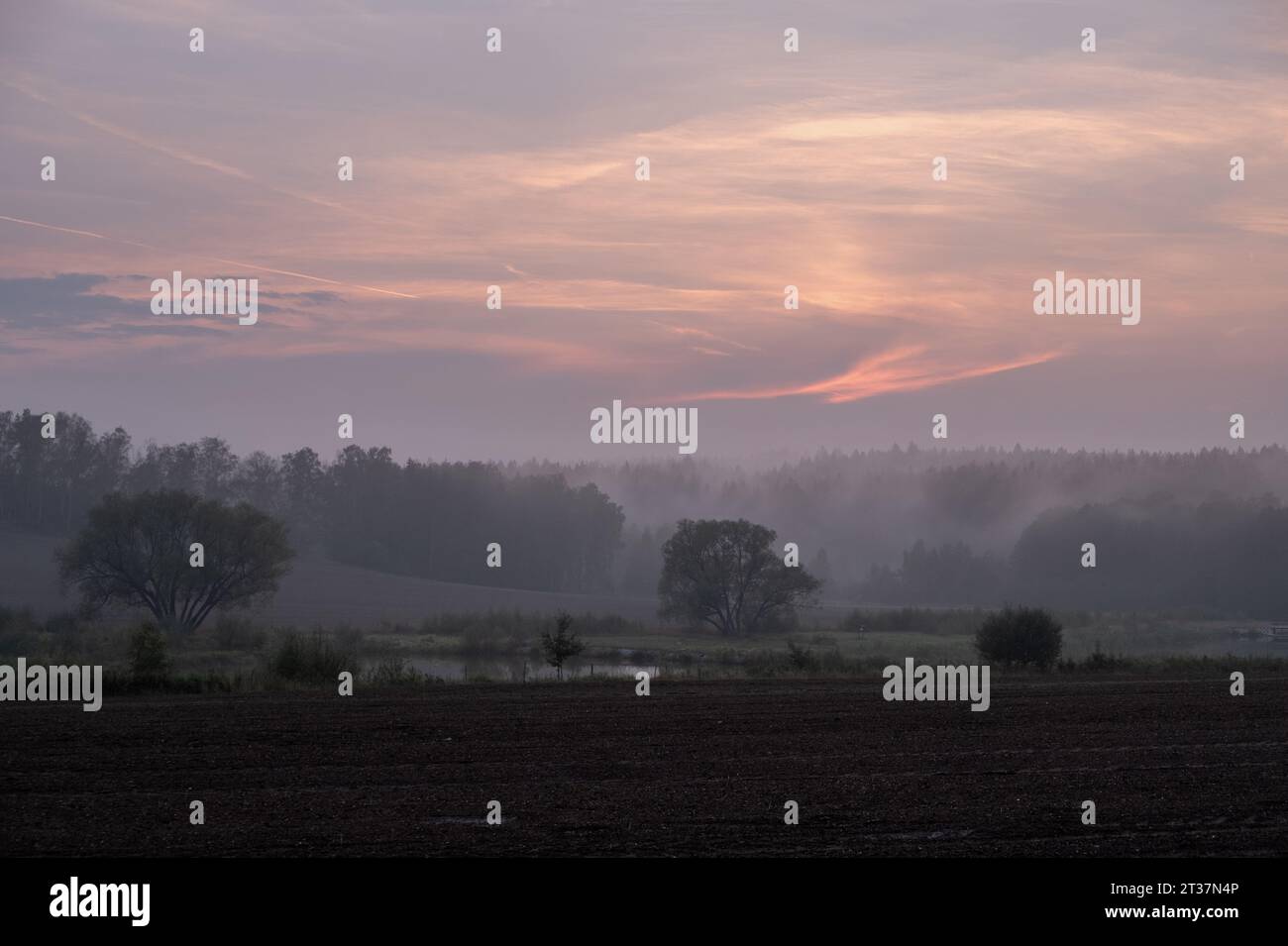 nebliger Sonnenuntergang, gepflügtes Feld, Sonnenuntergang mit roten Wolken, romantische traumhafte Landschaft Stockfoto