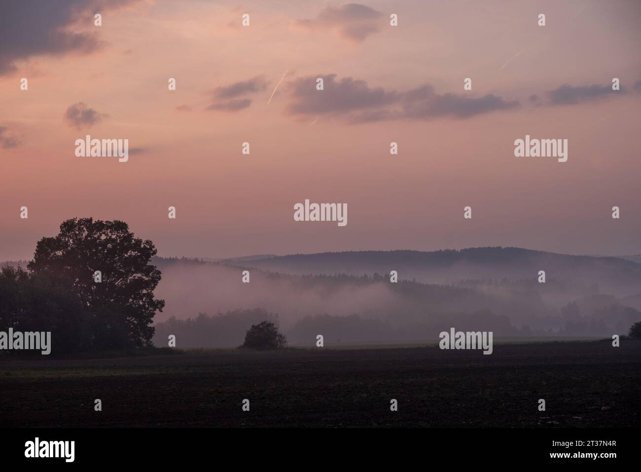 nebliger Sonnenuntergang, gepflügtes Feld, Sonnenuntergang über dem gepflügten Feld, romantische traumhafte Landschaft Stockfoto