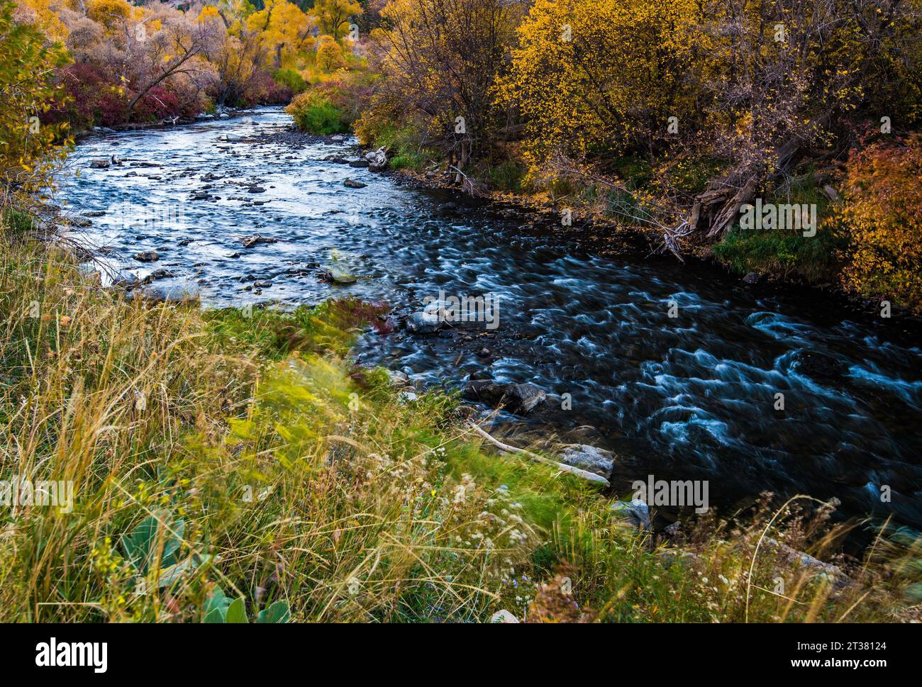 Provo River im Herbst. Berühmt für seine Forellenfischerei, Freizeitangebote und die herbstliche Landschaft. Stockfoto