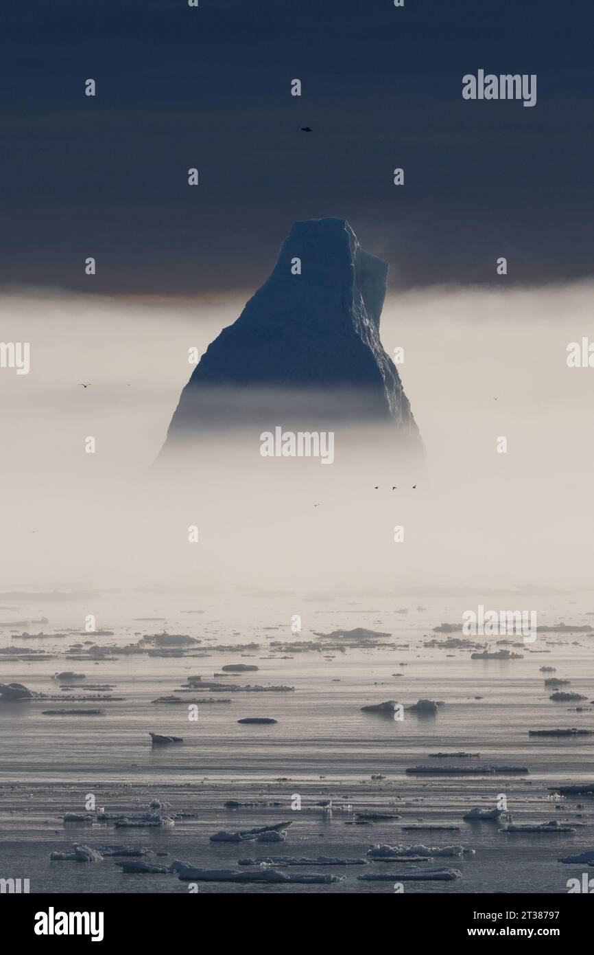Eisberge und Meeresnebel Stockfoto